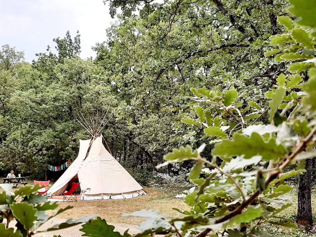 Logement GreenGo: Tipizen