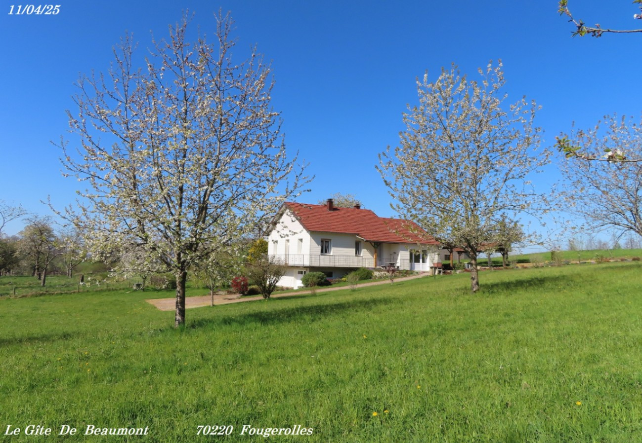 Hôte GreenGo: Le Gîte de Beaumont, Vosges du Sud. Maison 4* à la campagne. Plain pied 94 m2 + salle jeux 65 m2