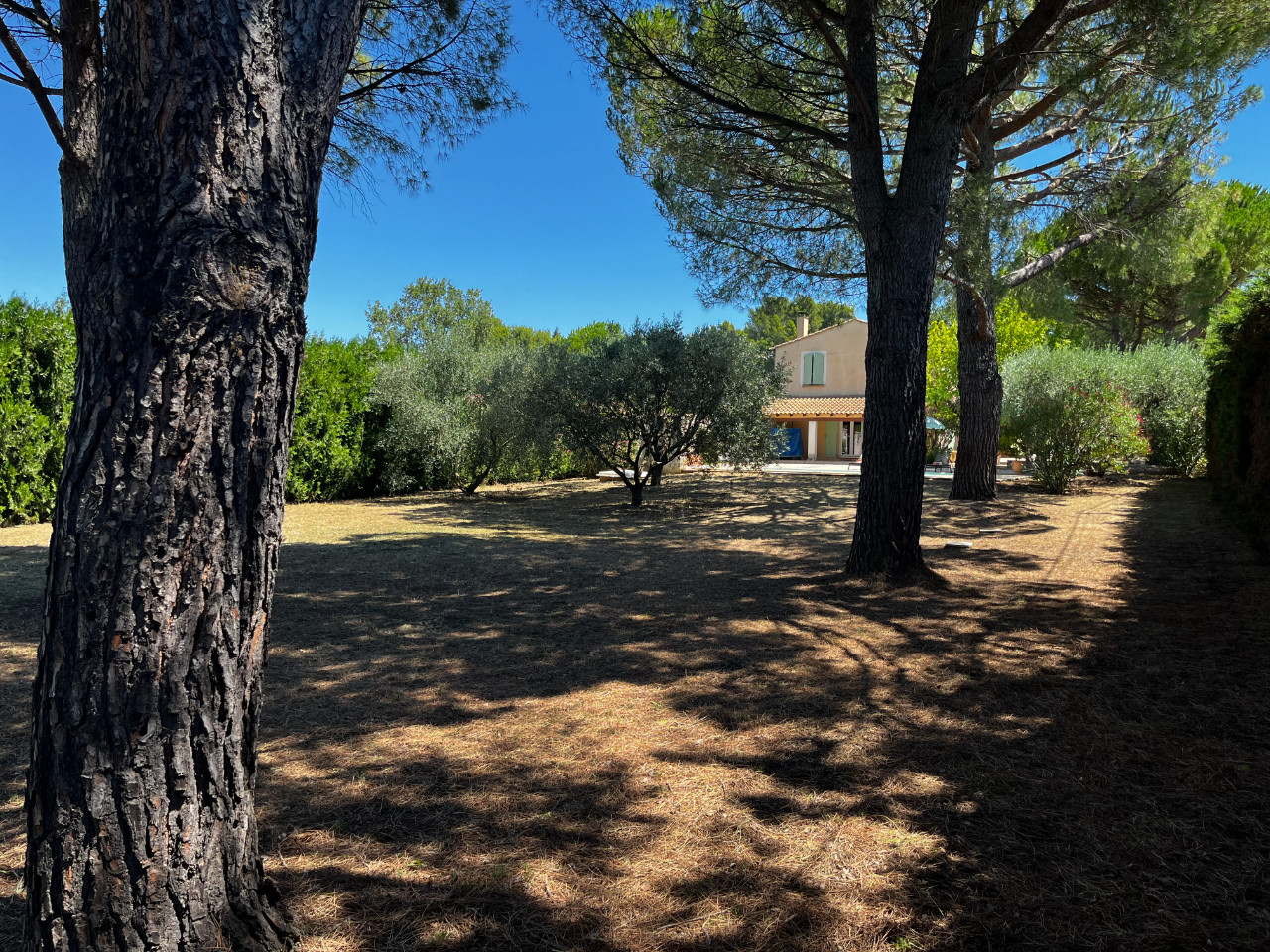 GreenGo location vacances écoresponsables