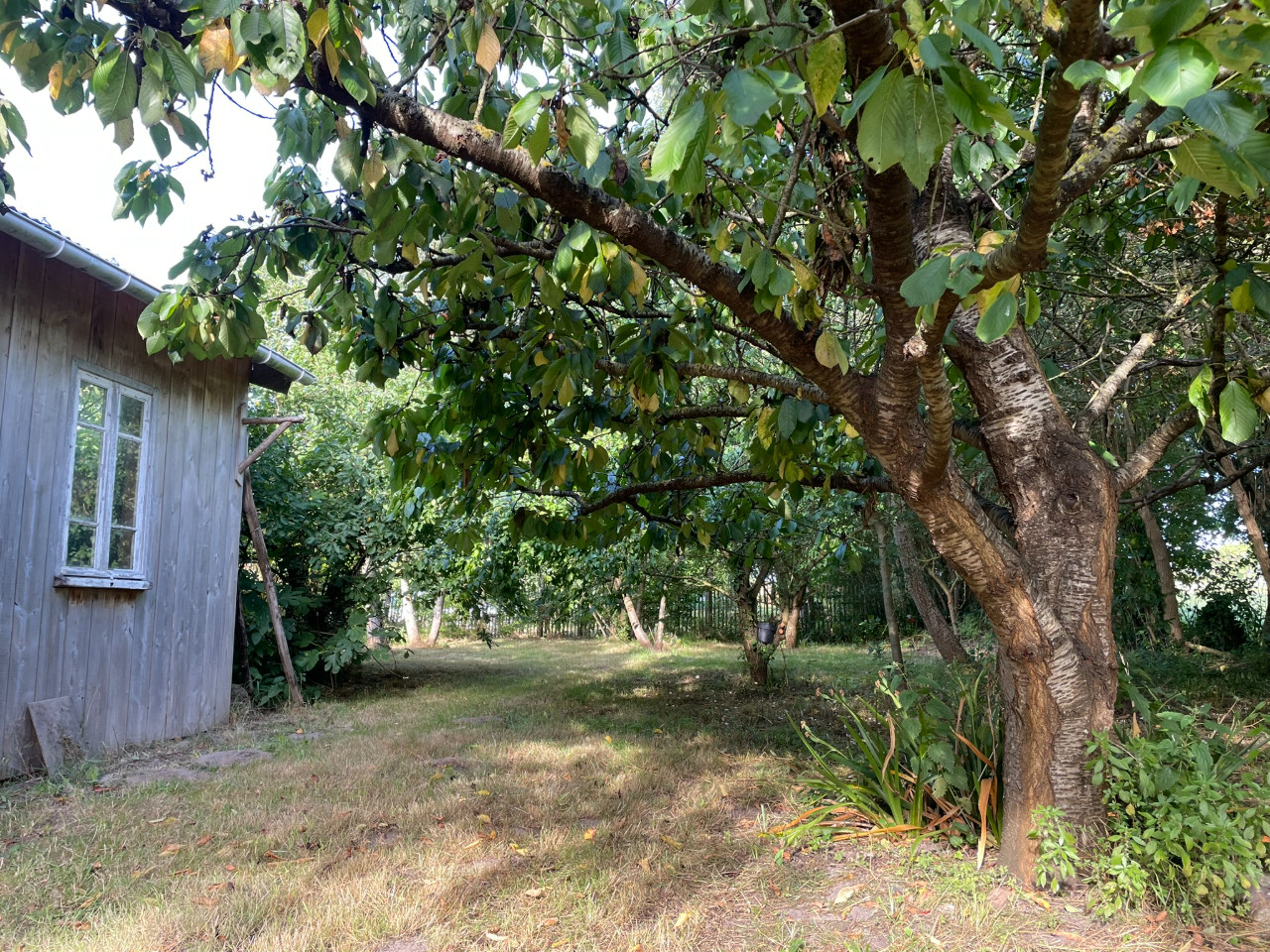 Location Manche À la campagne