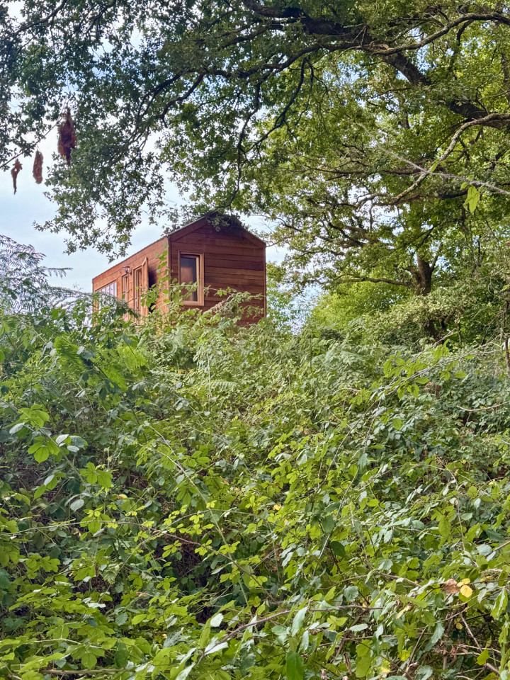 Tiny house en lisière de bois