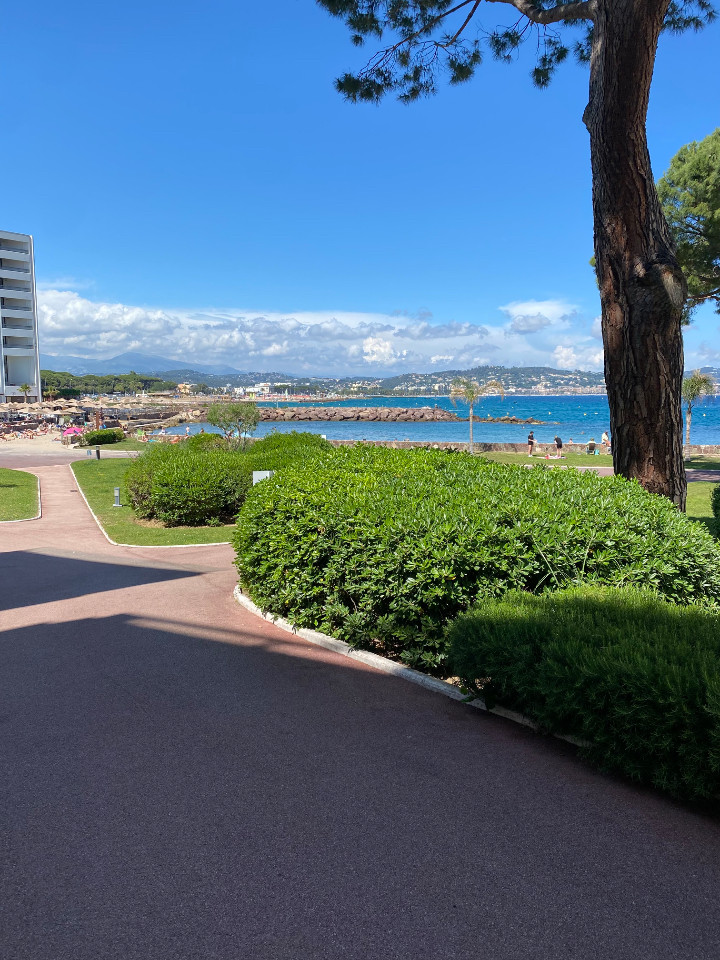 Alpes-Maritimes Charme