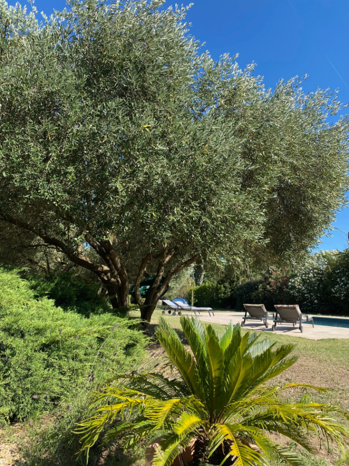 GreenGo location vacances écoresponsables