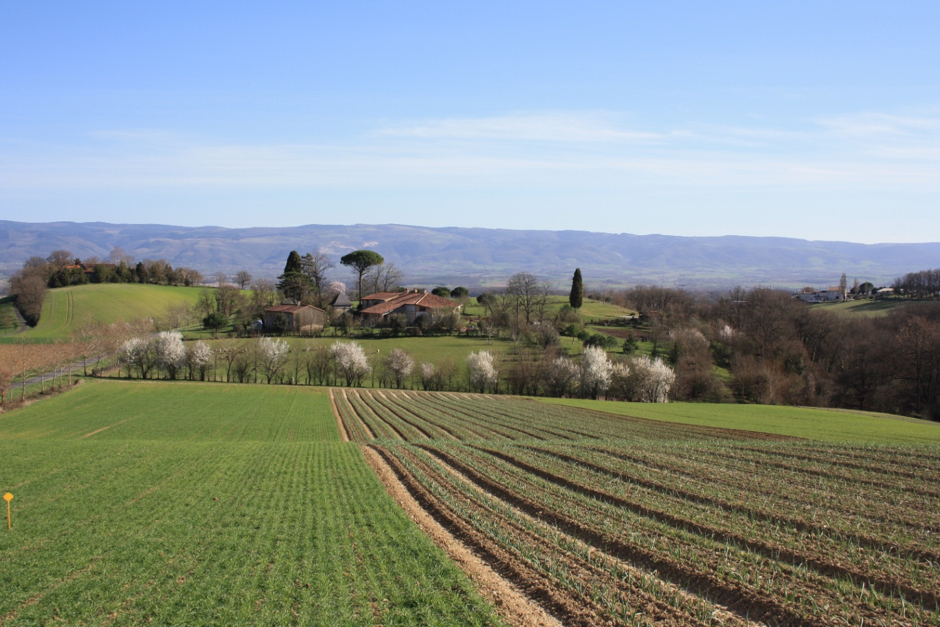 GreenGo Gite d’Ambrosi