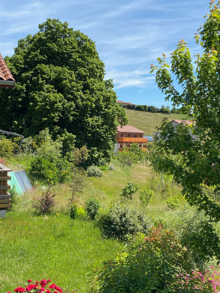 GreenGo location vacances écoresponsables