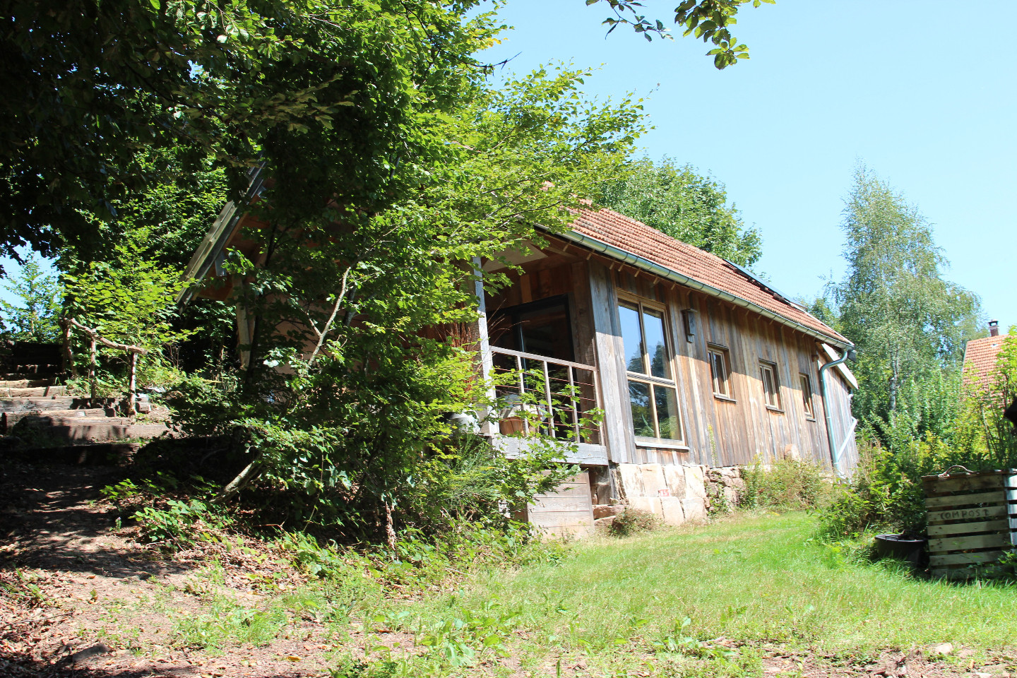  Vosges En forêt