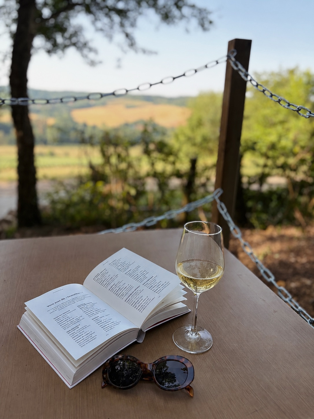 GreenGo La Cabane de Gus | Tiny House dans les vignes de Champagne