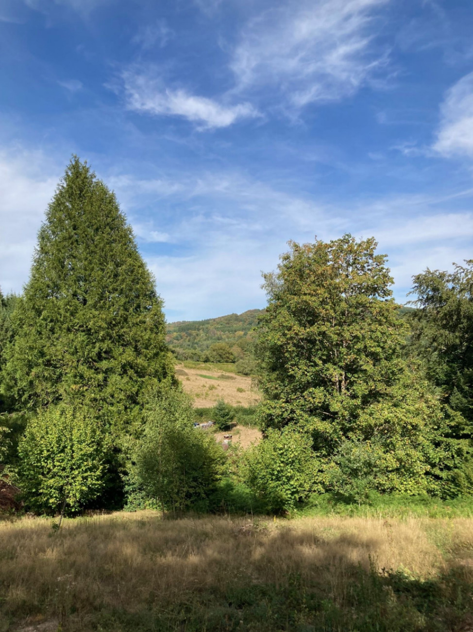 GreenGo location vacances écoresponsables