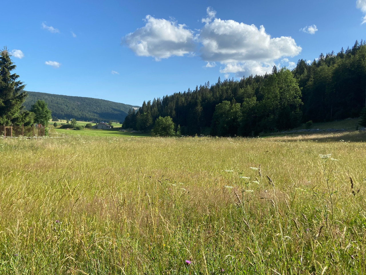 GreenGo location vacances écoresponsables