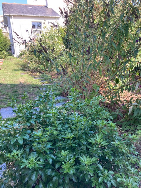 Appartement dans jardin