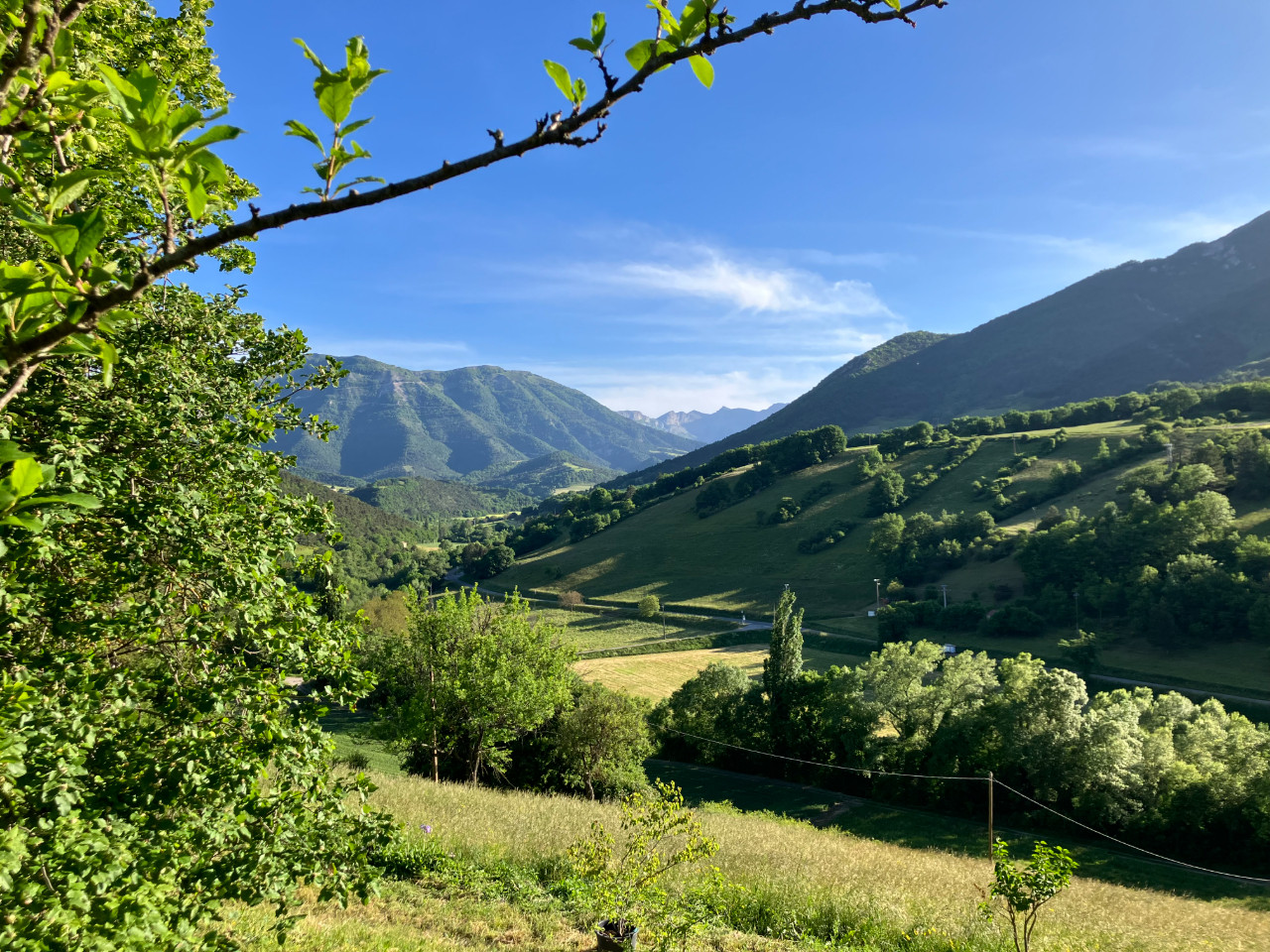 GreenGo location vacances écoresponsables