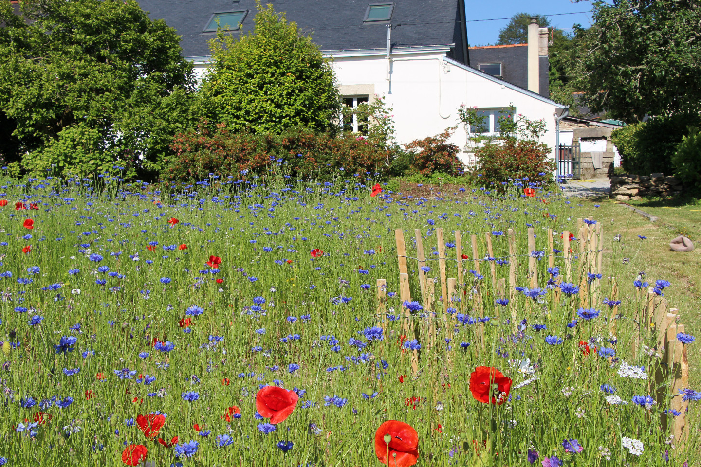 GreenGo location vacances écoresponsables