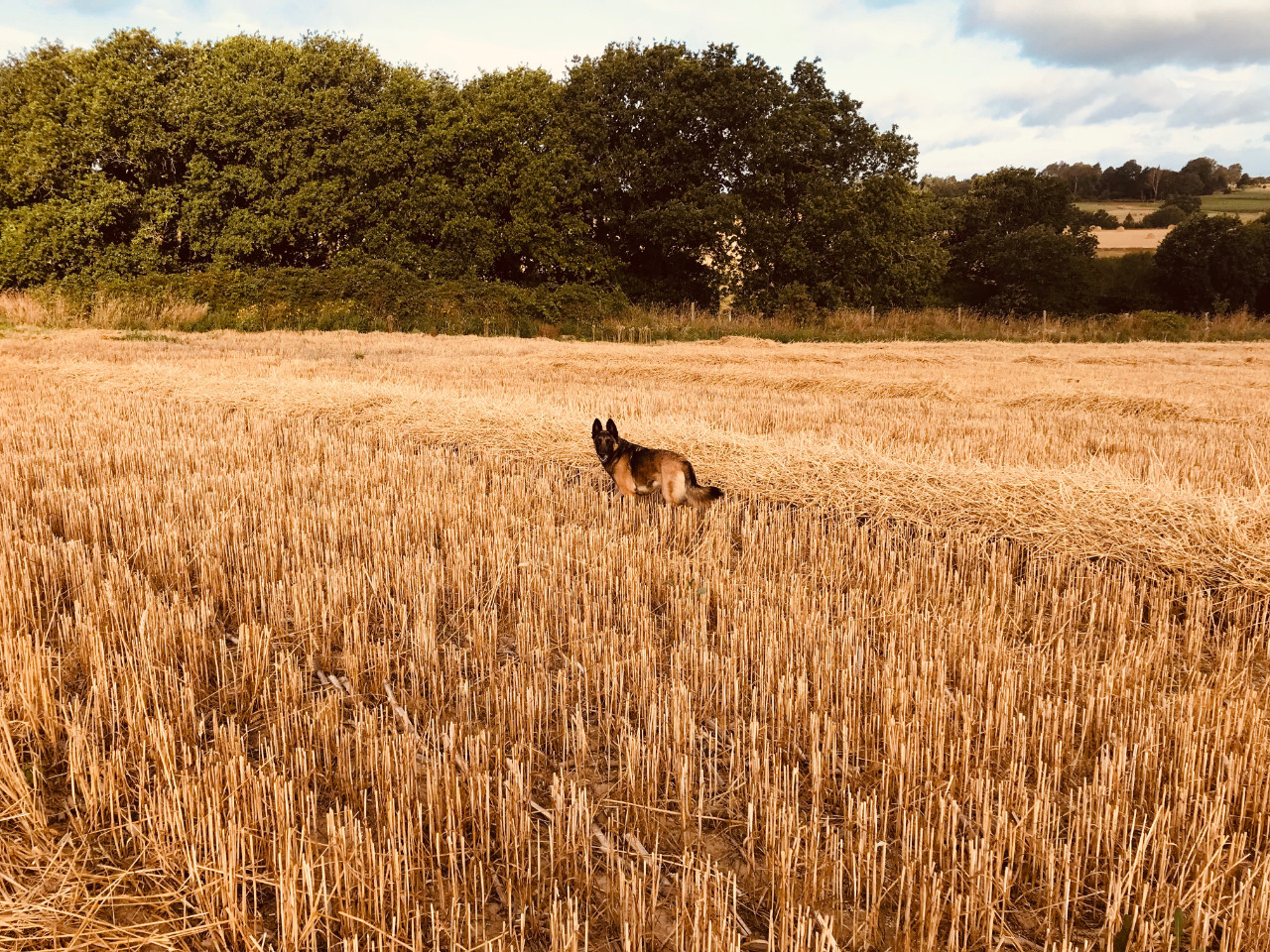 Location Seine-Maritime À la campagne