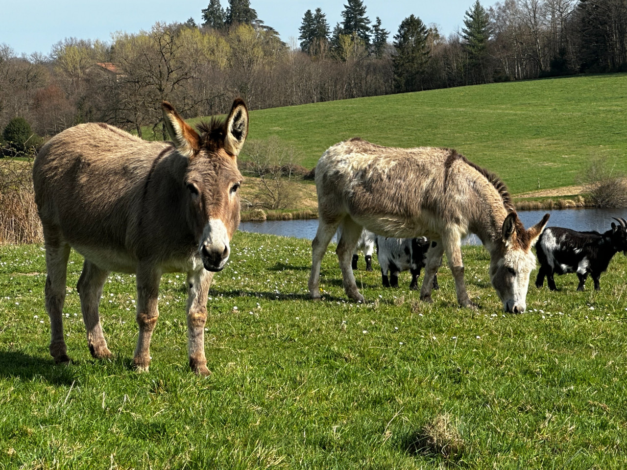 GreenGo Gîte Nouvelle-Aquitaine Évasion