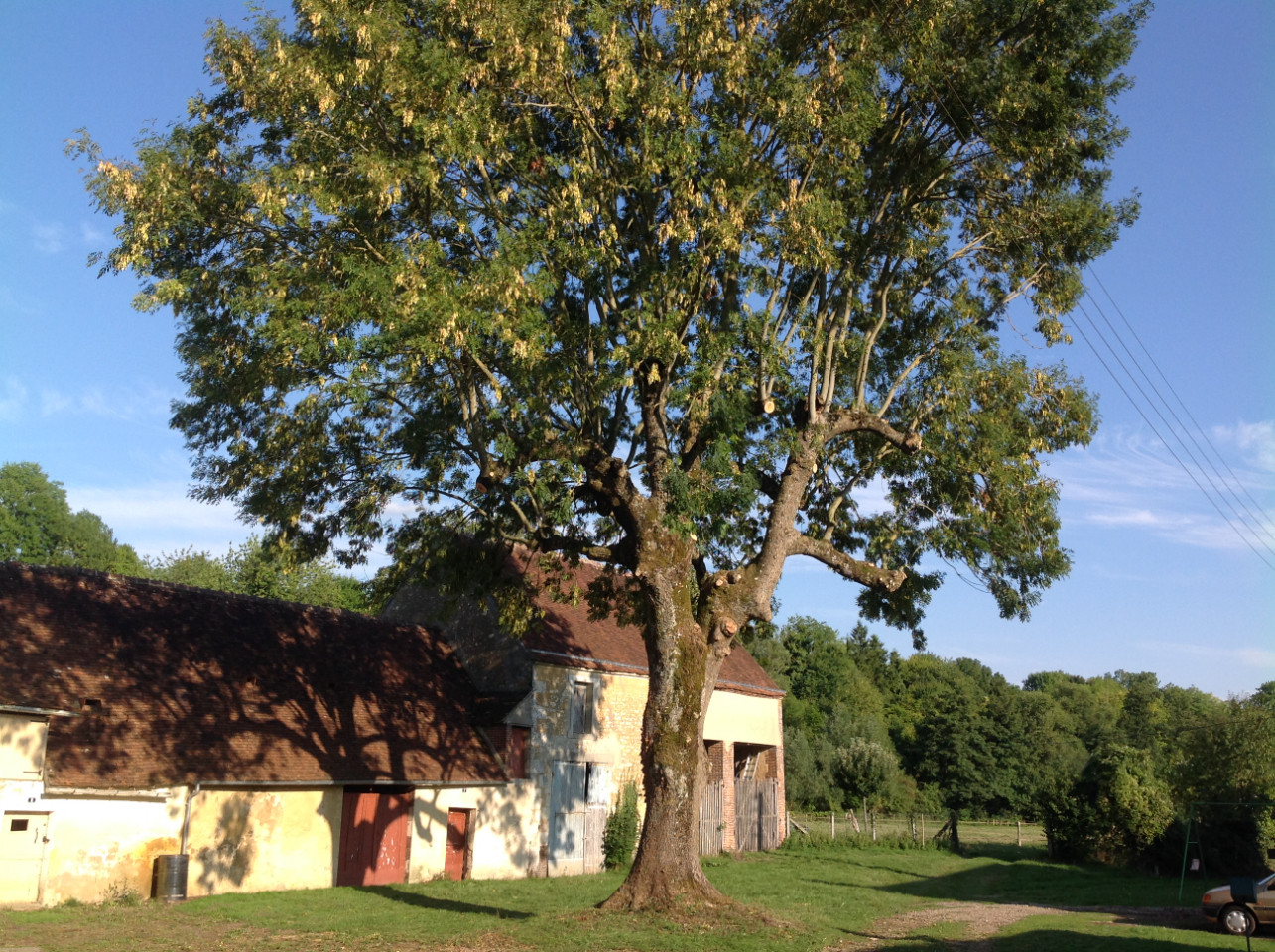 Location Orne Entre amis