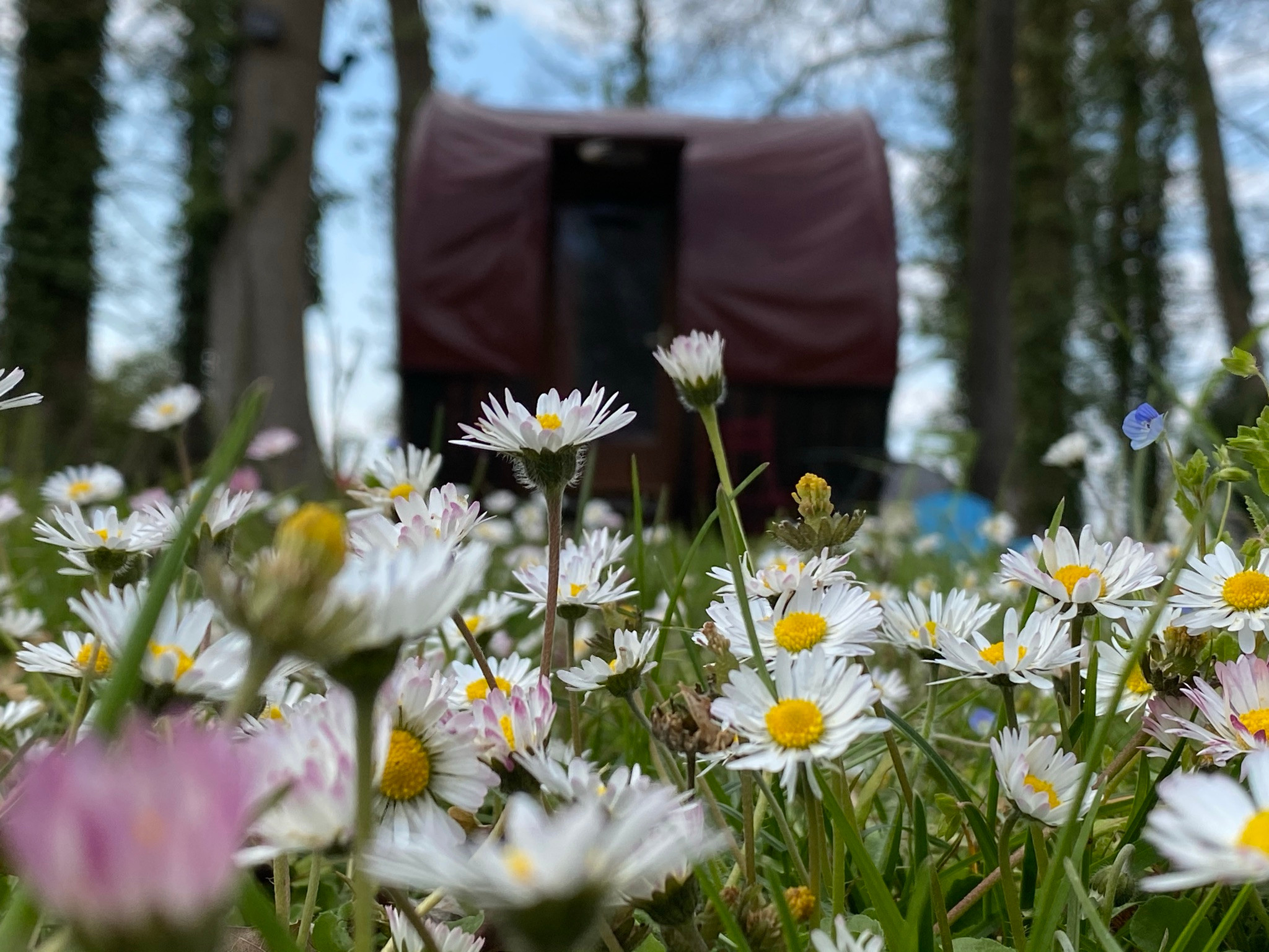 orderedImageAlt_accommodation_default
