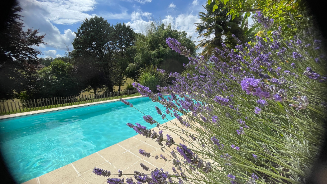 GreenGo Location Nouvelle-Aquitaine Musique