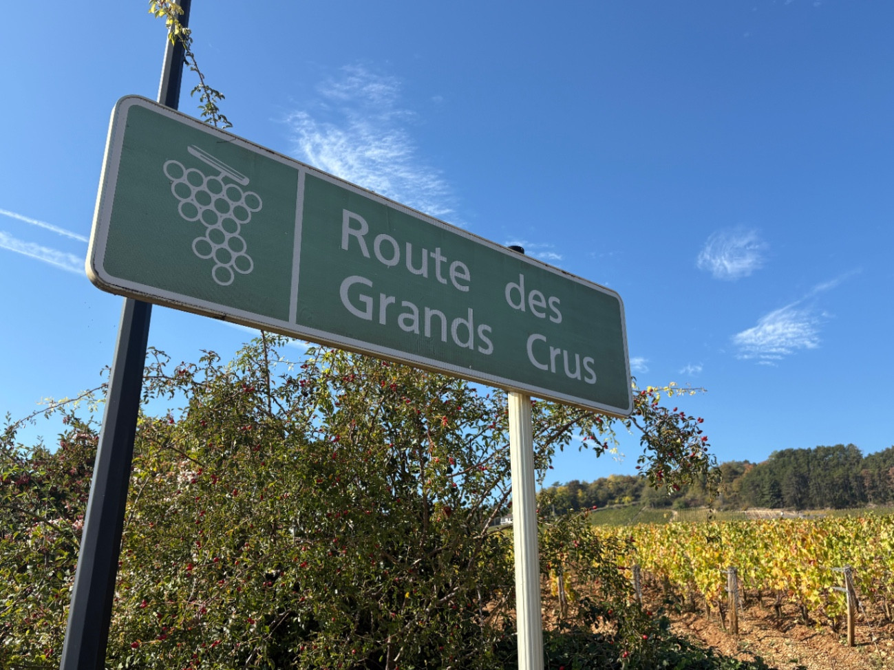 L' Escale du Terroir