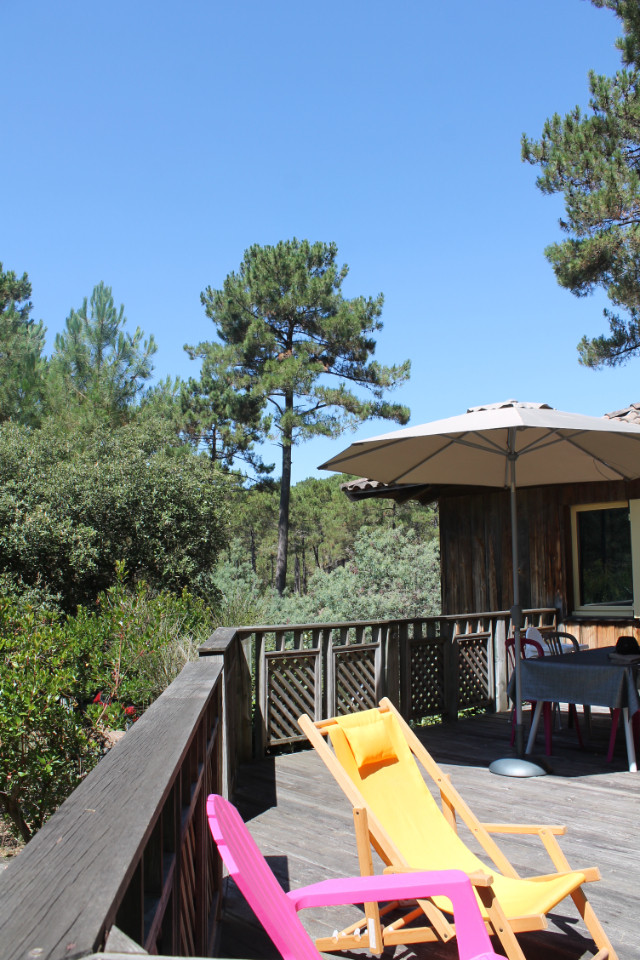  Gironde En forêt