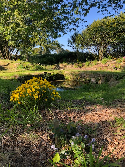 GreenGo Gîte Bretagne Bien-être