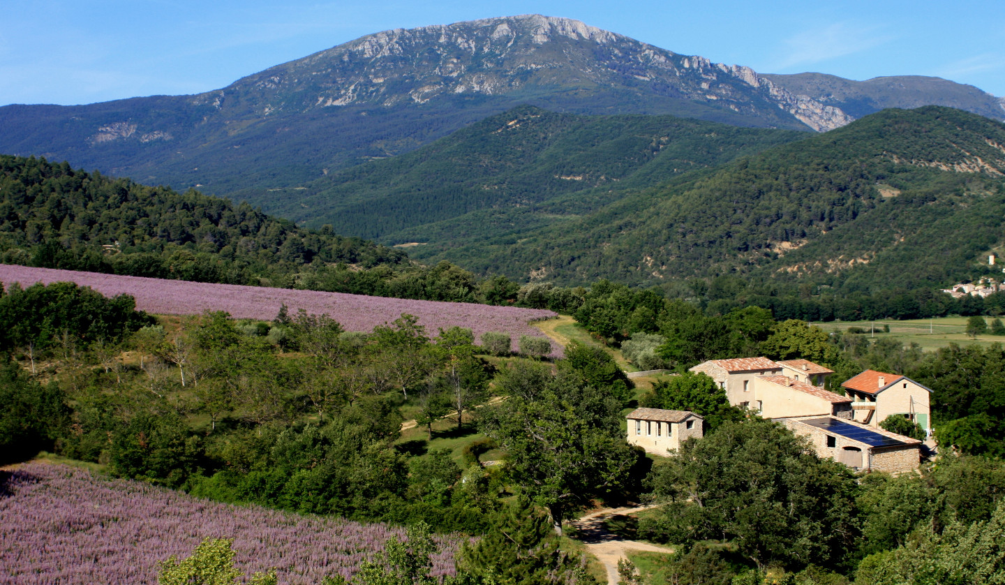 GreenGo location vacances écoresponsables
