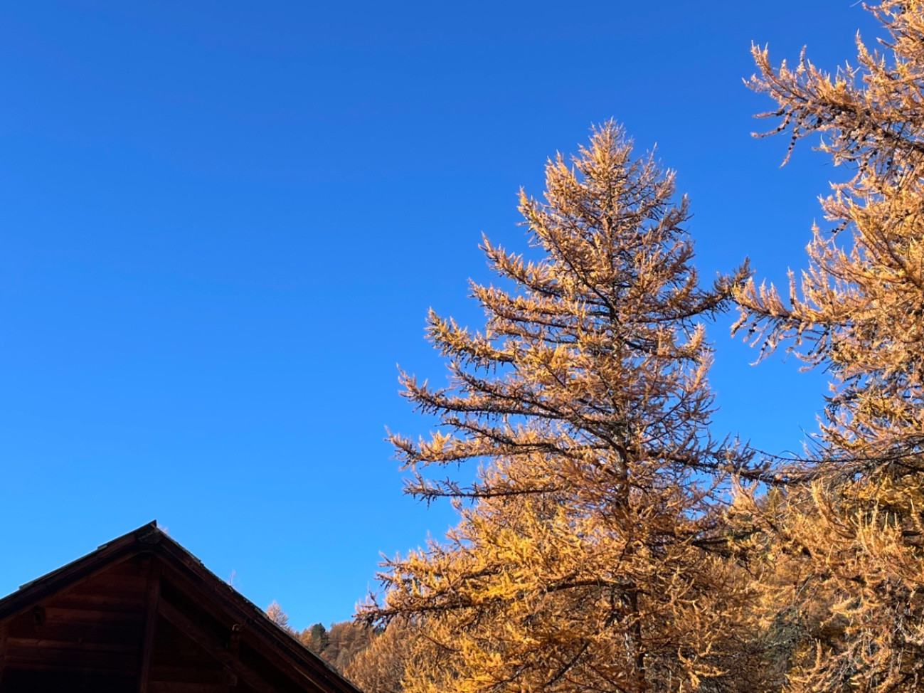 Chalet la Rousse Vallée de la Clarée