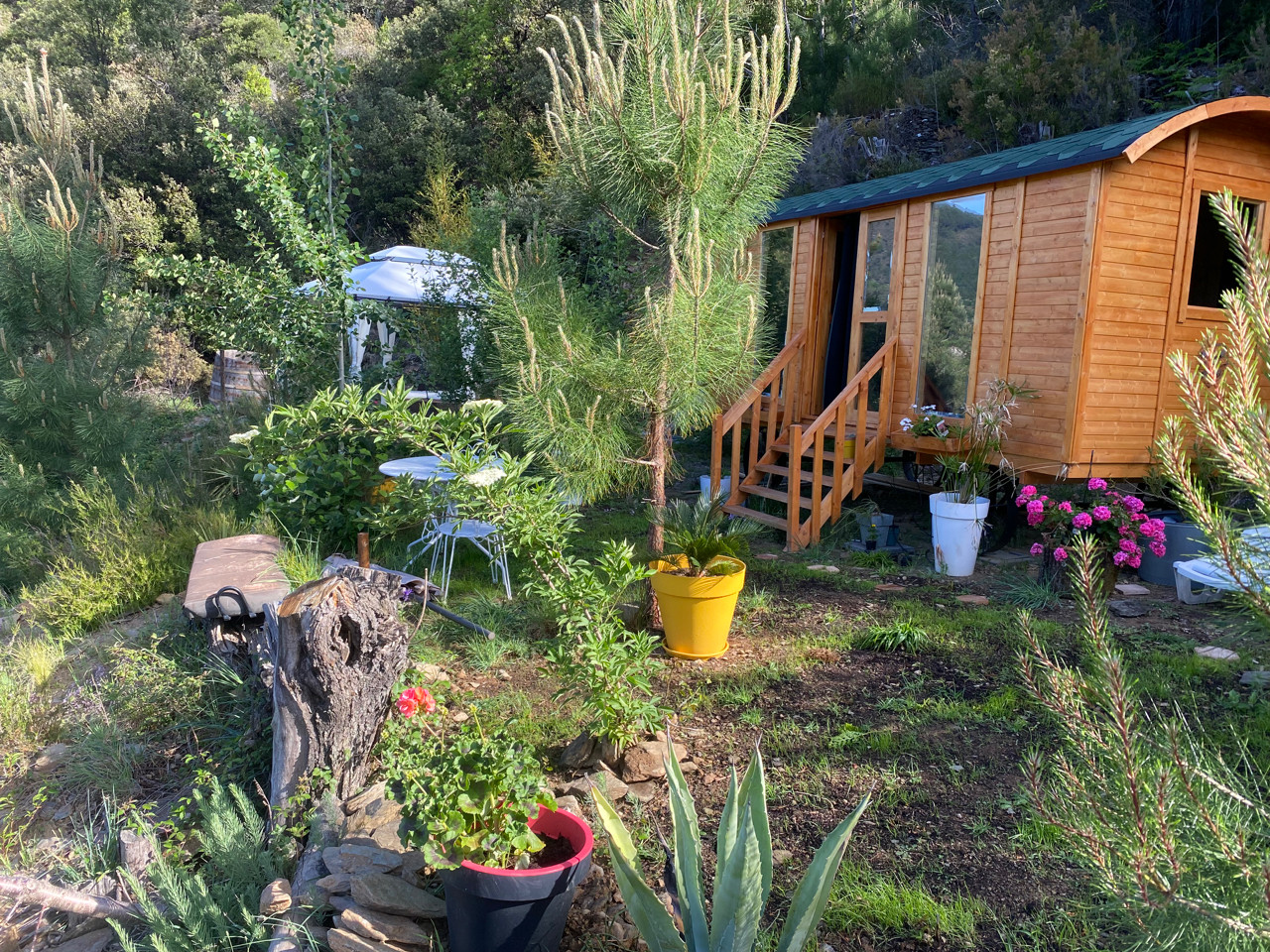 Hôte GreenGo: La Roulot’Thines : Roulotte en pleine nature dans le sud de l Ardèche, avec piscine .Spa en option .