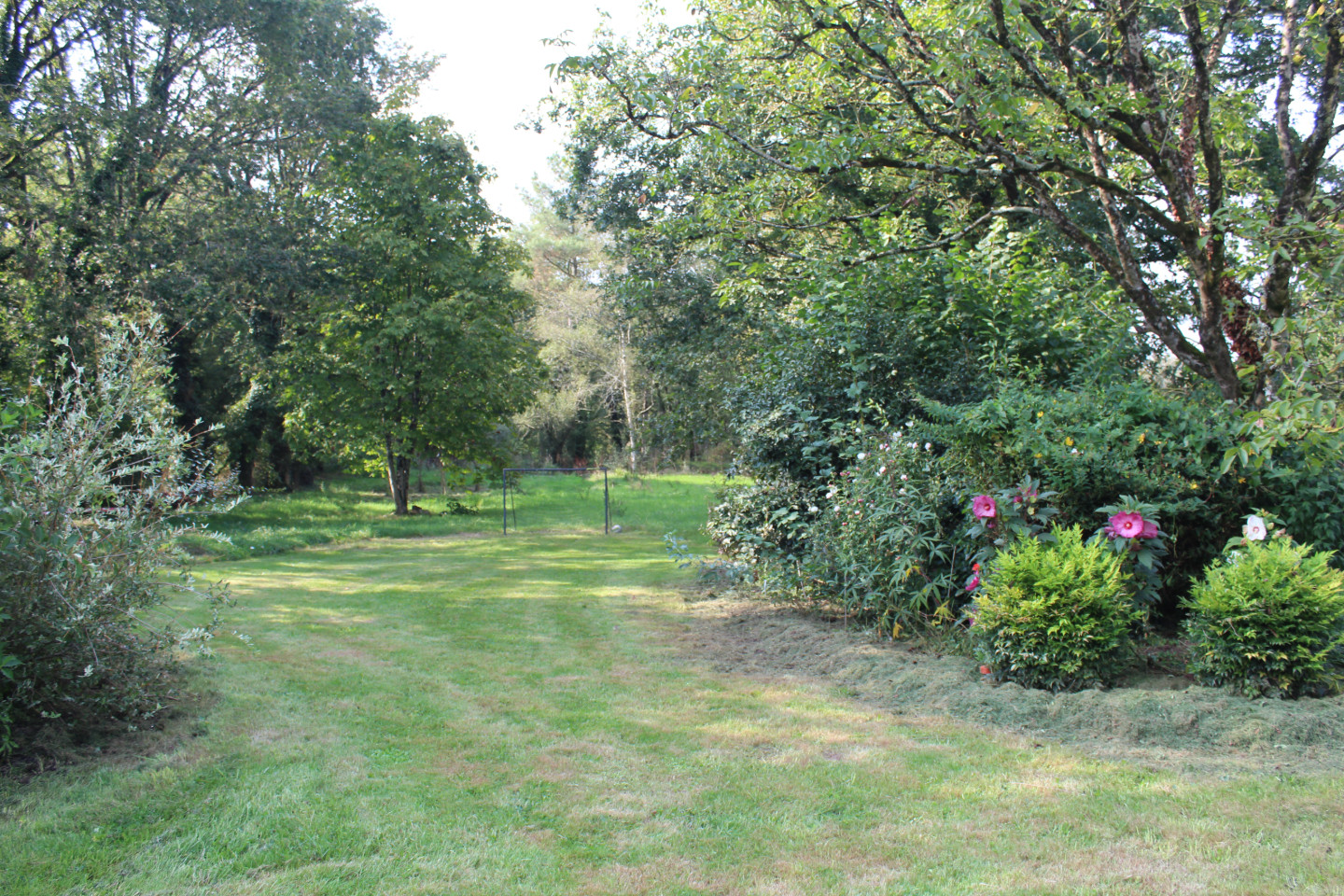 Location Ille-et-Vilaine En forêt