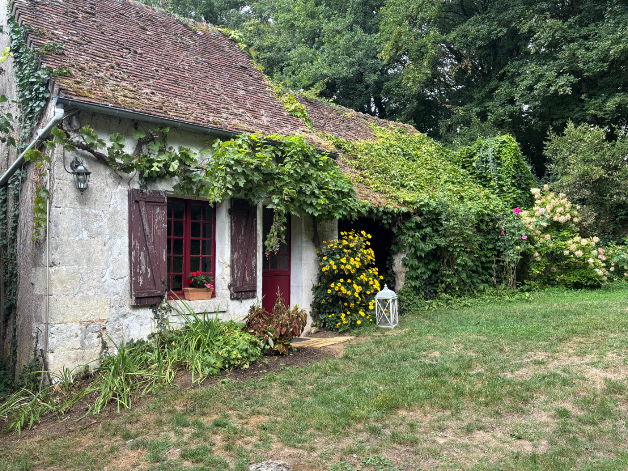 GreenGo location vacances écoresponsables