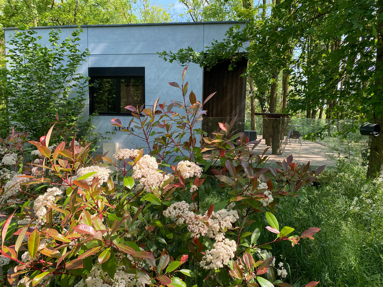 orderedImageAlt_accommodation_default