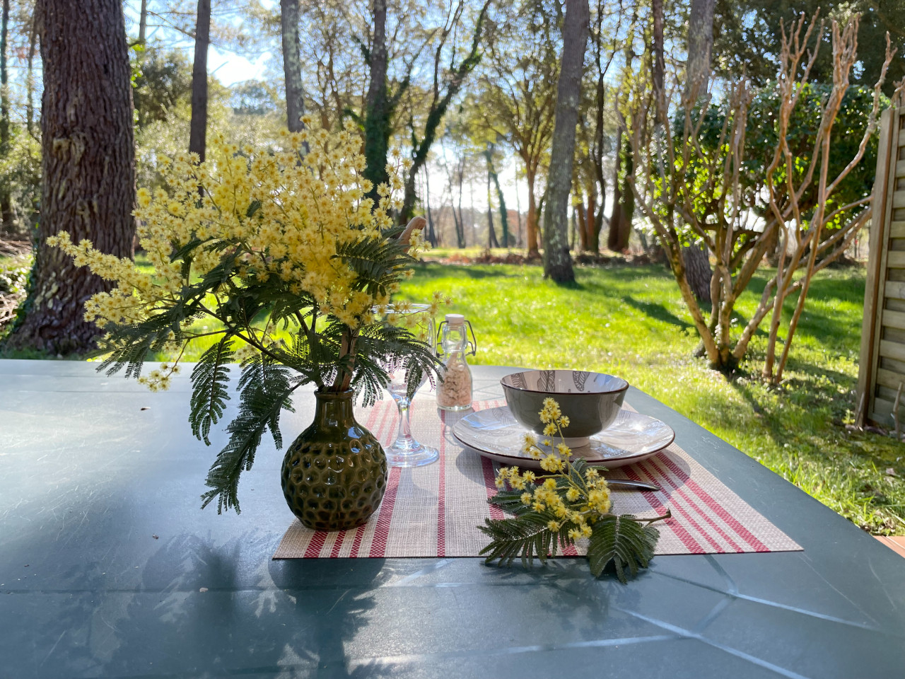  Landes Nature