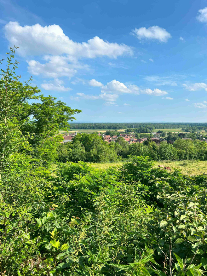 GreenGo location vacances écoresponsables