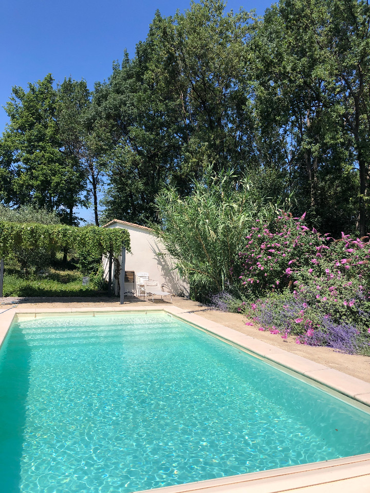 Au pays des oliviers