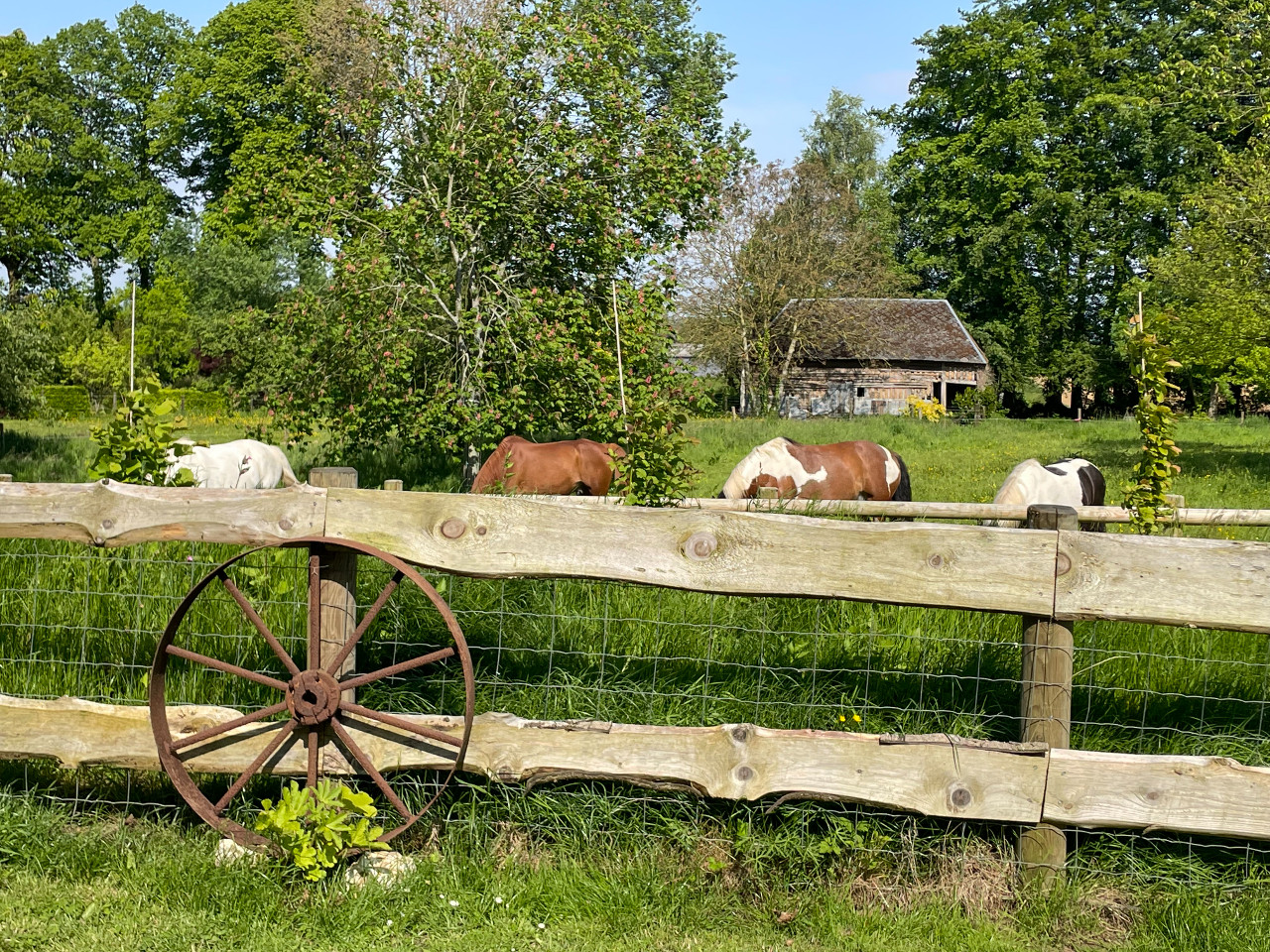 GreenGo Gîte Normandie À la campagne