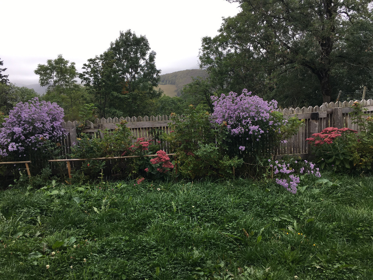 GreenGo Gîte Auvergne-Rhône-Alpes Évasion