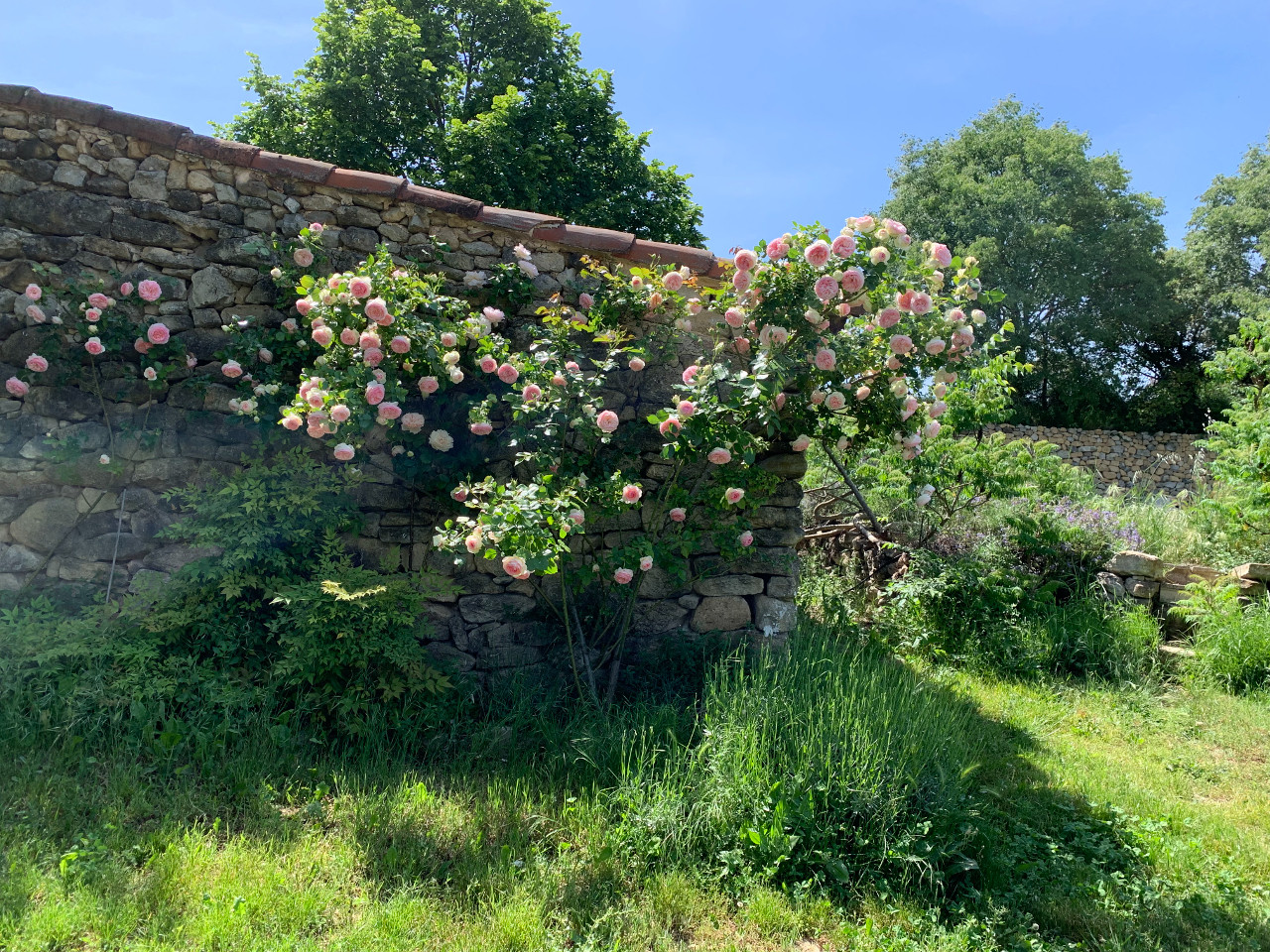 GreenGo Location Provence-Alpes-Côte d'Azur À la campagne