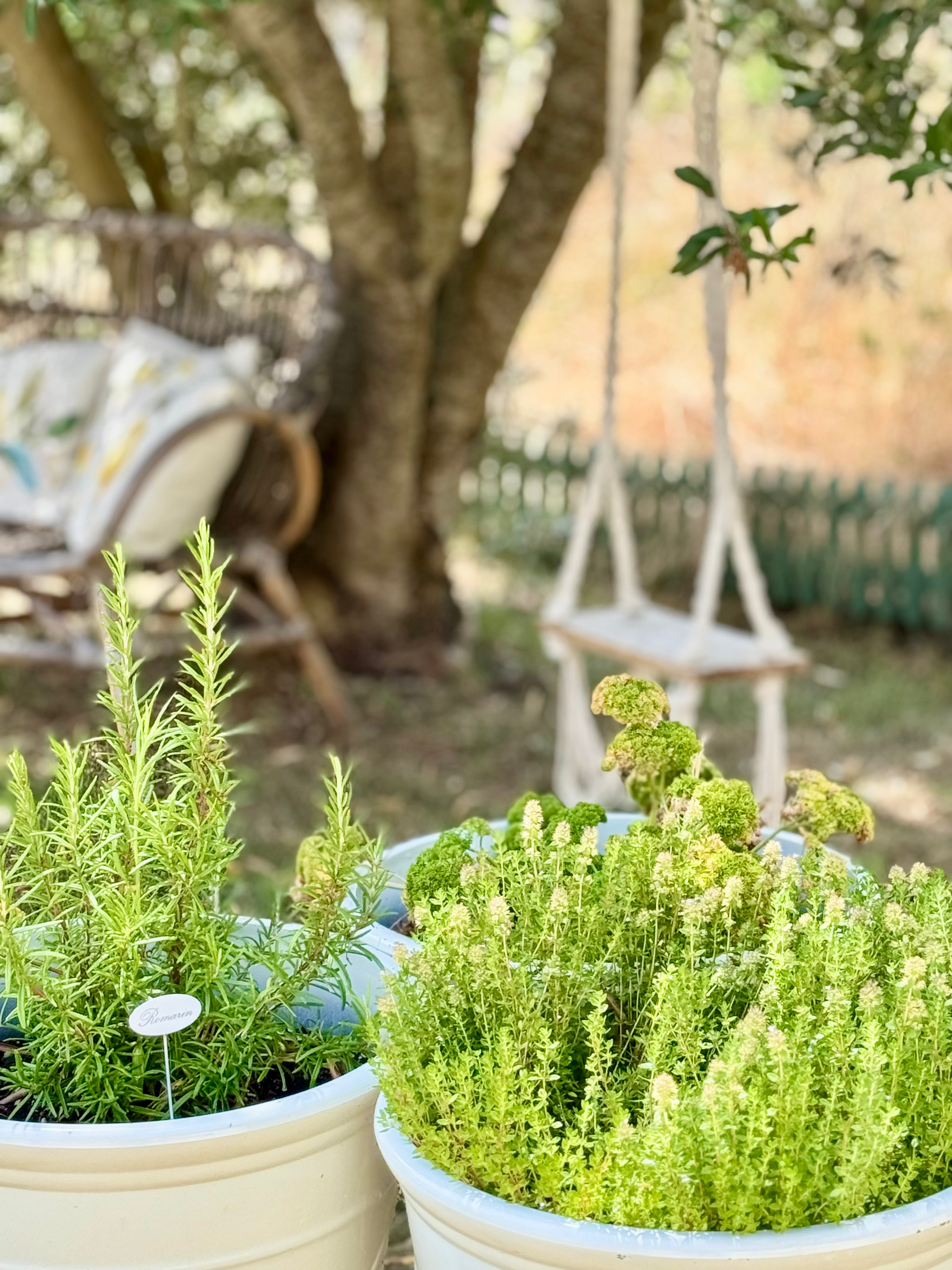 GreenGo Location Nouvelle-Aquitaine Haut-de-gamme