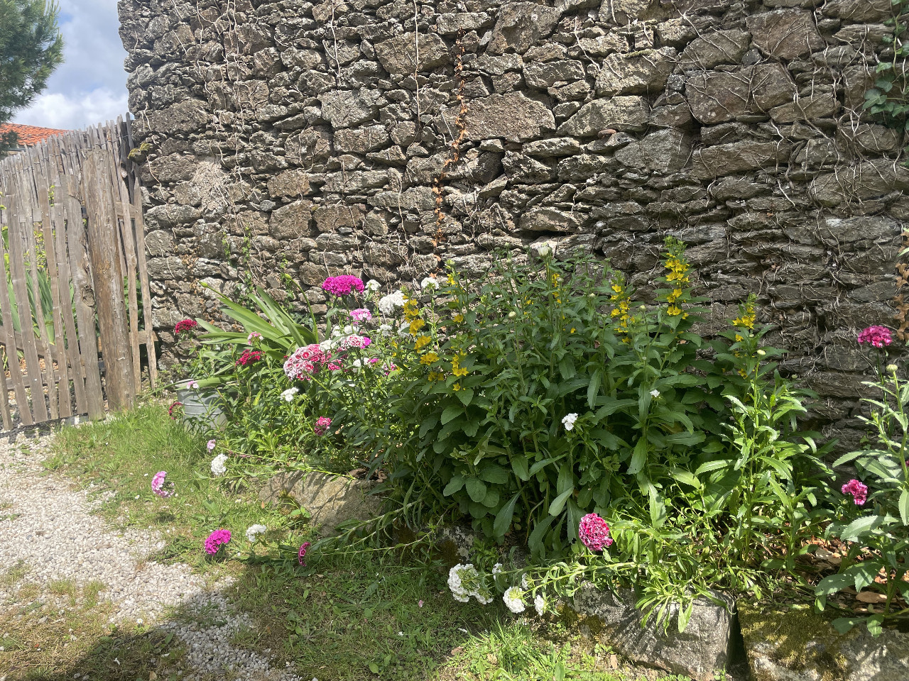 GreenGo Gîte Pays de la Loire À la campagne