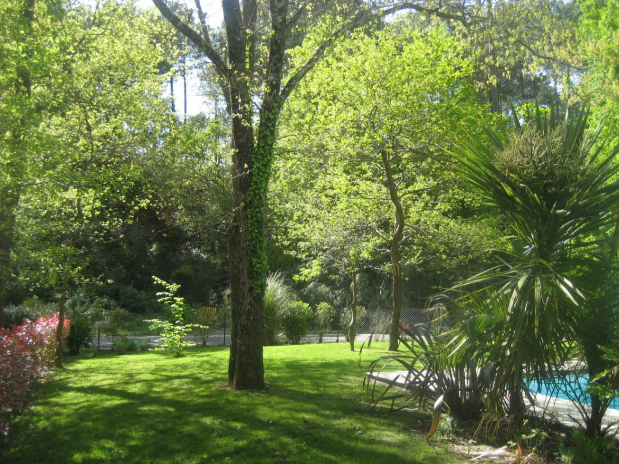 GreenGo Villa Golf Ocean