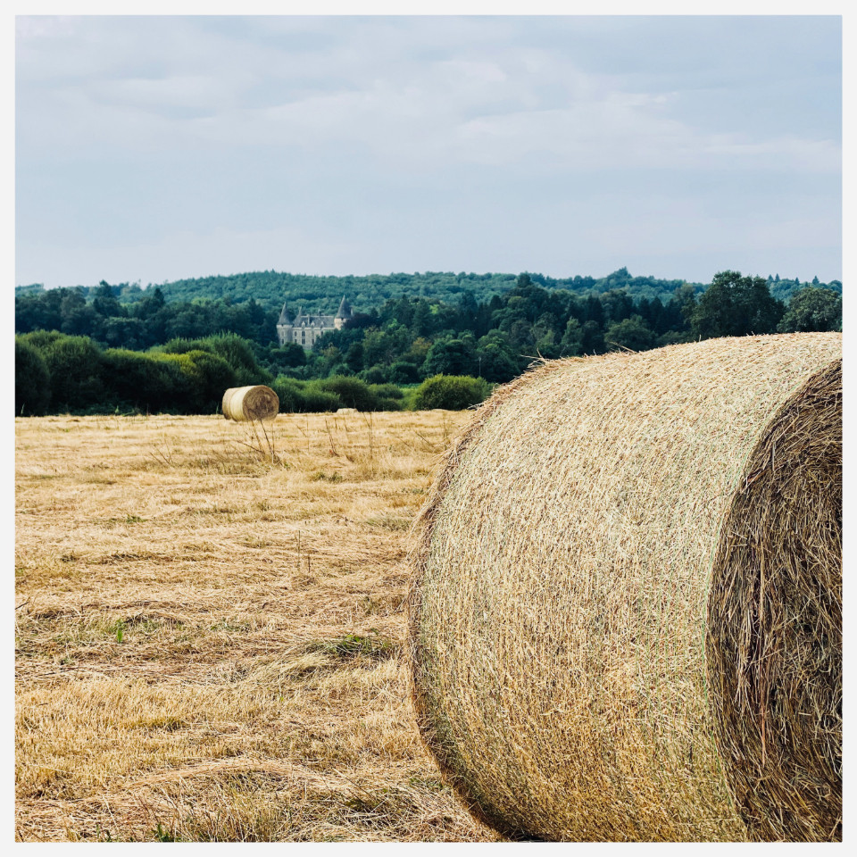 Location Corrèze Gîte de groupe
