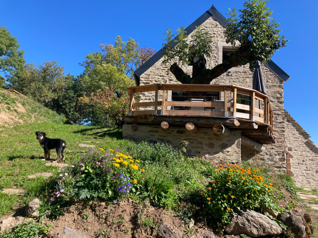 orderedImageAlt_accommodation_default