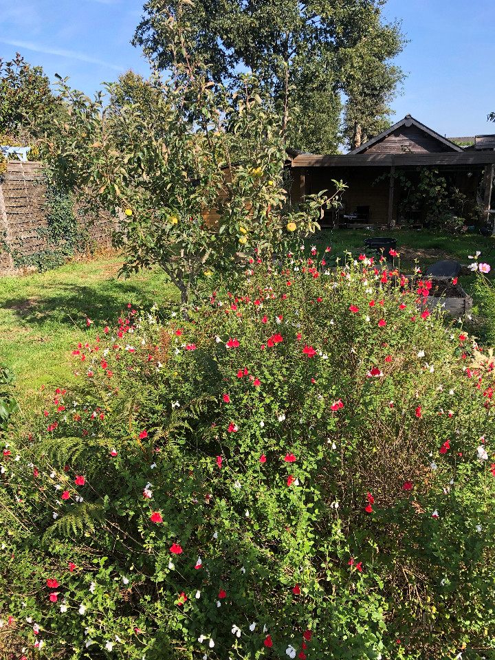 GreenGo Chez Rose