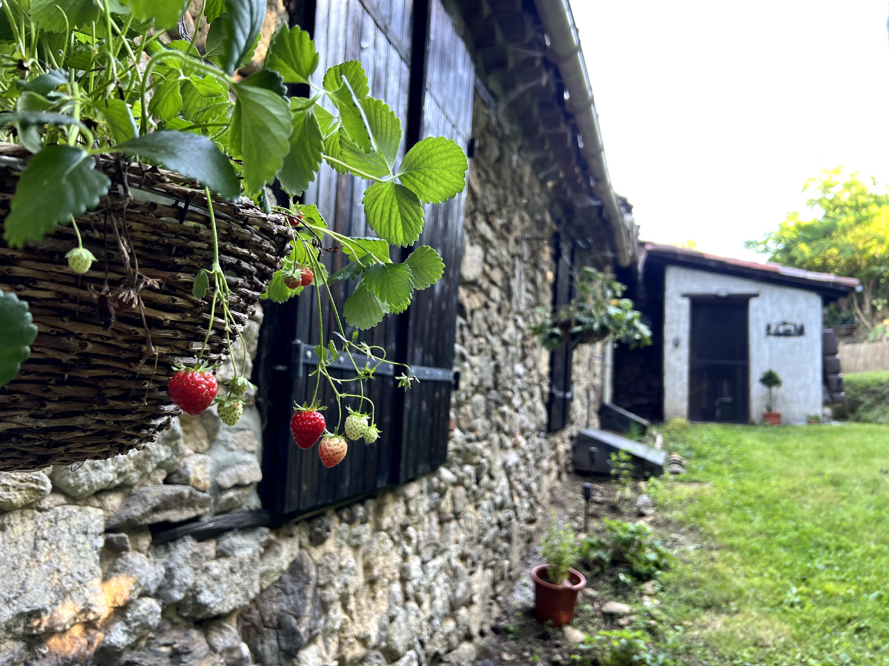 GreenGo location vacances écoresponsables