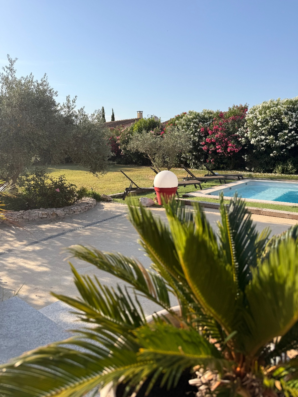 GreenGo Le Petit Valexiane Alpilles Piscine et Jardin