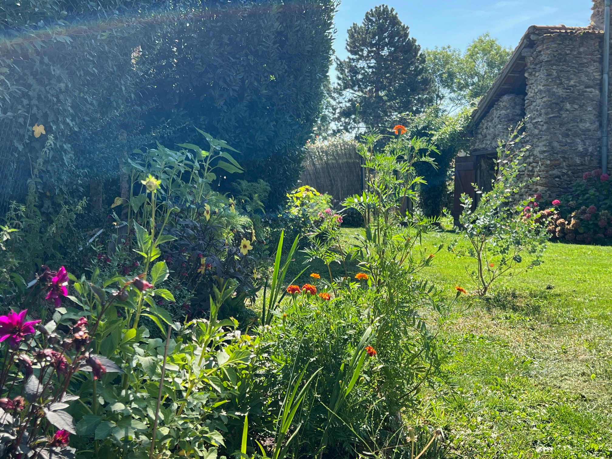 Yvelines En forêt