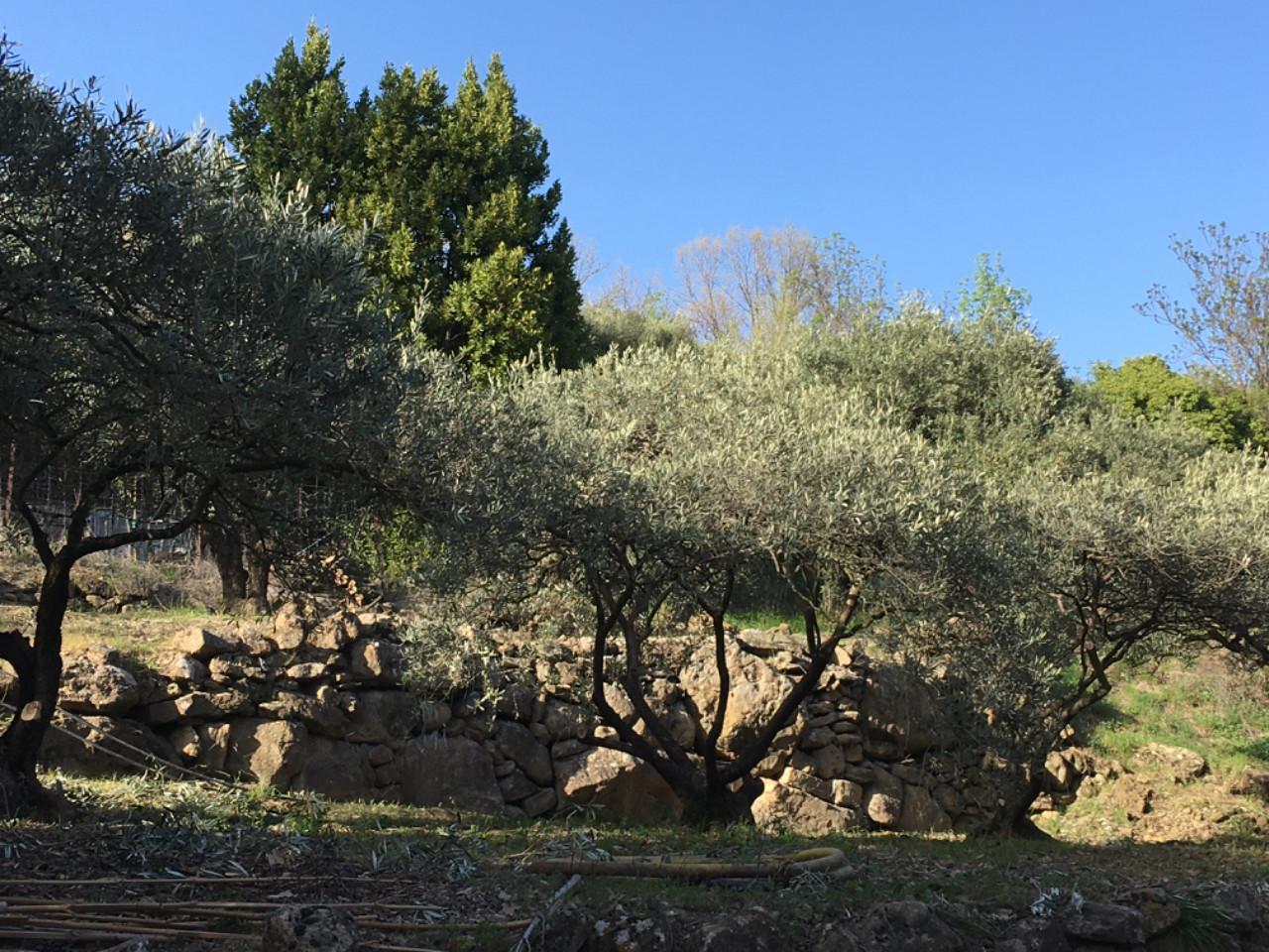 GreenGo Gîte Occitanie Haut-de-gamme