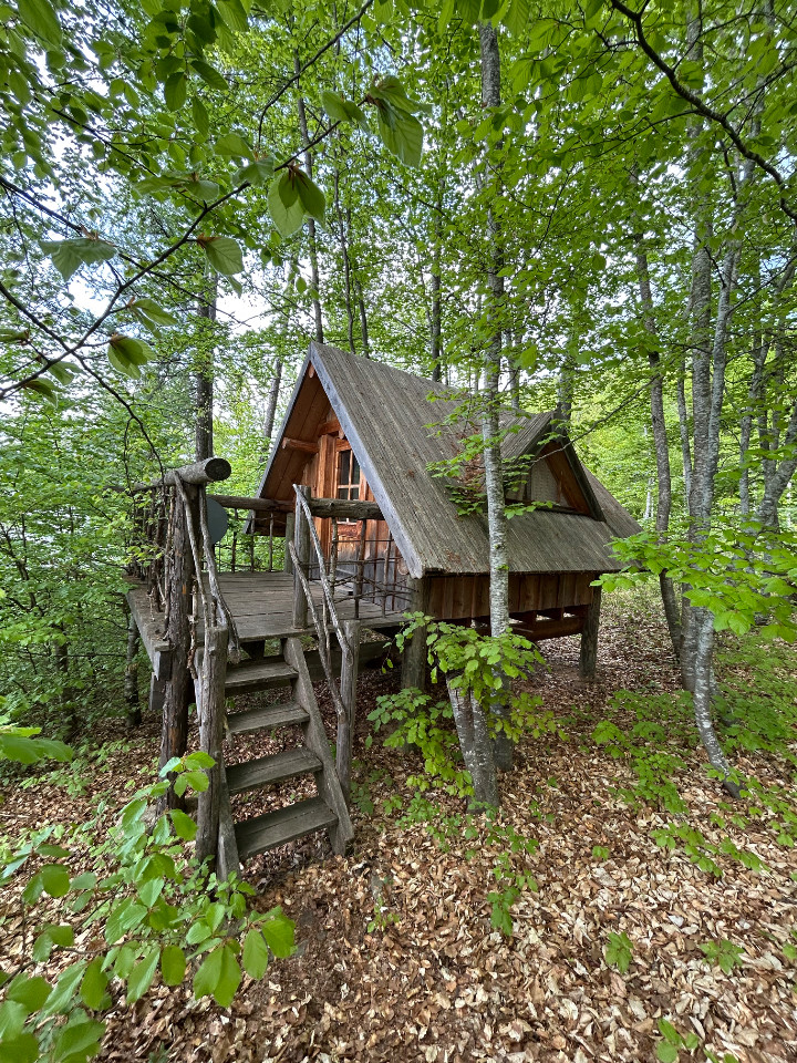 orderedImageAlt_accommodation_default