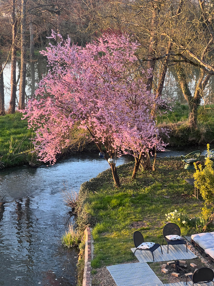 Location Eure-et-Loir Gîte de groupe