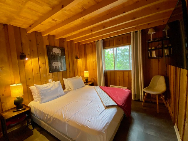 GreenGo location vacances écoresponsables