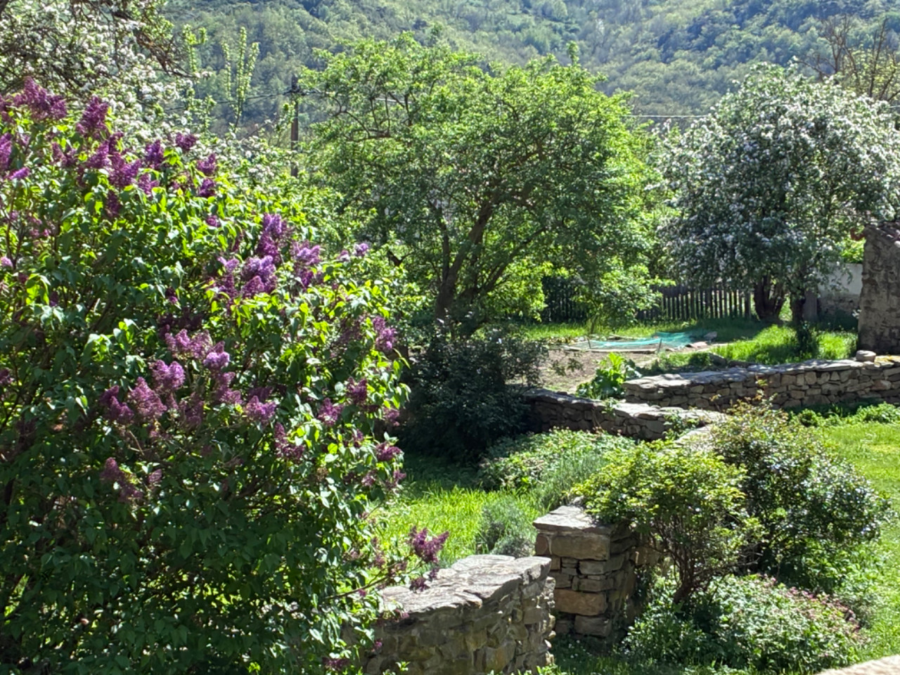GreenGo location vacances écoresponsables